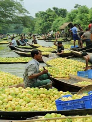 Barishal River & Floating Market Tour travel scene 2