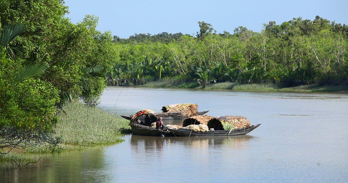 Classic Bangladesh Tour in Bangladesh with a knowledgeable local guide