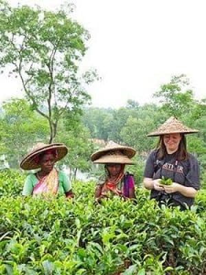Sreemangal Tea Country Tour in Bangladesh with a knowledgeable local guide