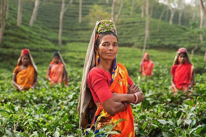 Archaeology of Bangladesh in Bangladesh with a knowledgeable local guide