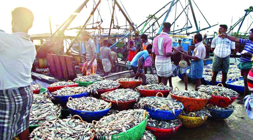 Dhaka Spice Market Tour in Bangladesh with a knowledgeable local guide